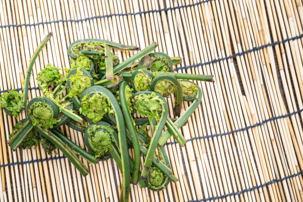 fiddlehead