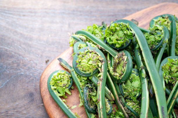 fiddlehead