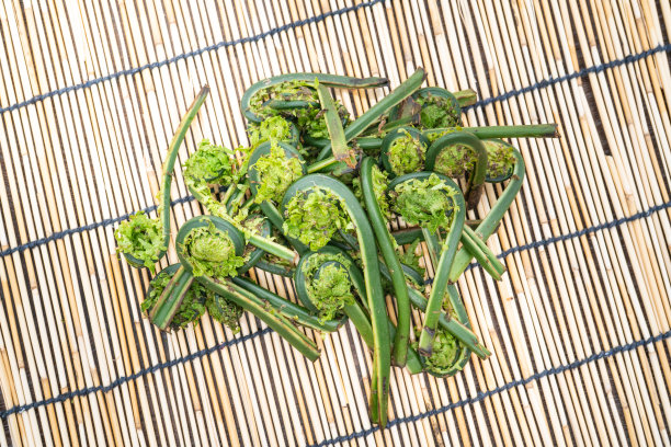 fiddlehead