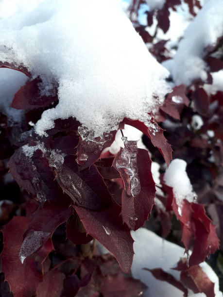 秋分霜降小雪冬大寒