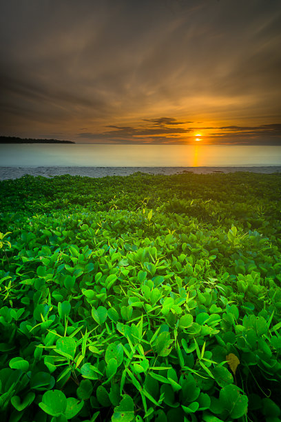 草原蓝天自然美景