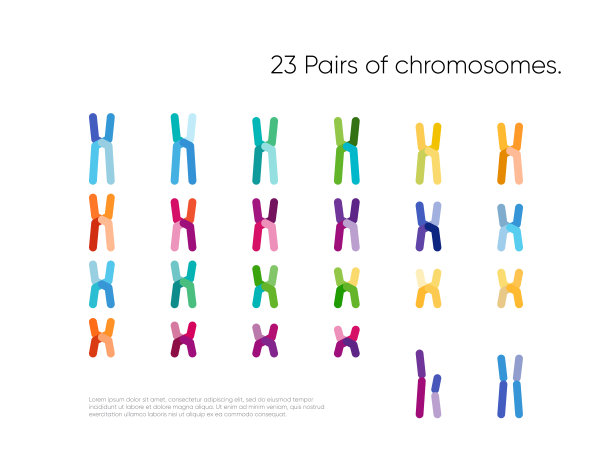 chromosone