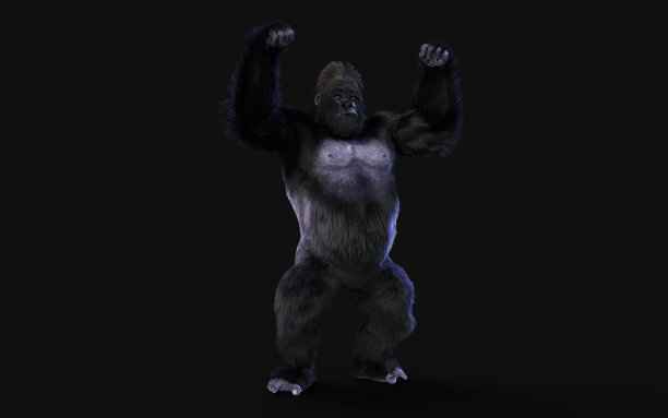 kong