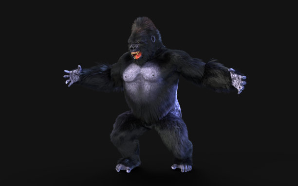 kong