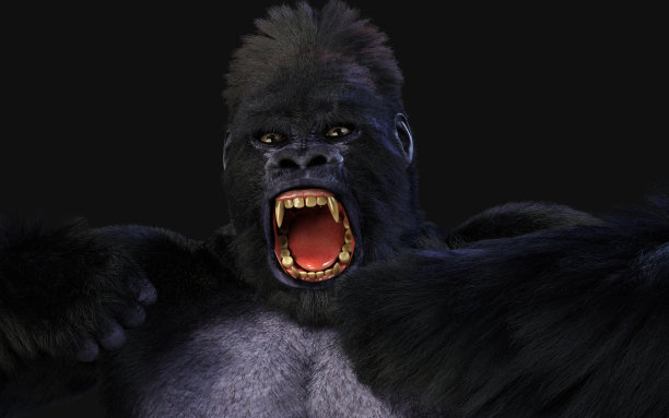 kong