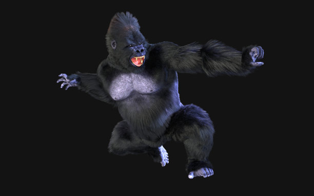 kong