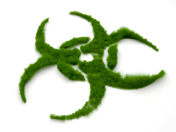 poison