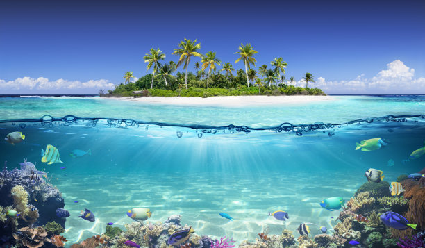 珊瑚之岛