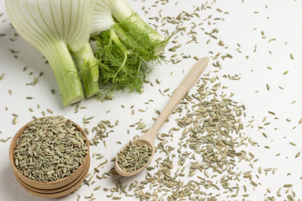 fennel