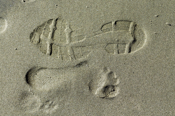 沙滩鞋印