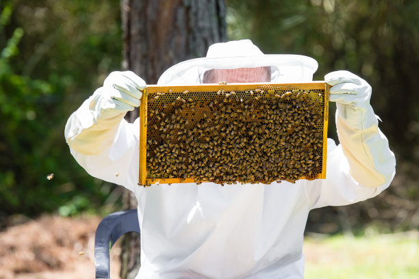 beekeeper