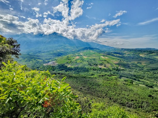 山水自然植物风景美景