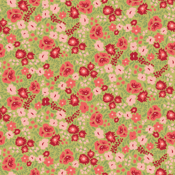 植物花卉插画红色包装设计图案