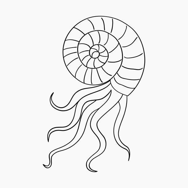 卡通贝壳海螺