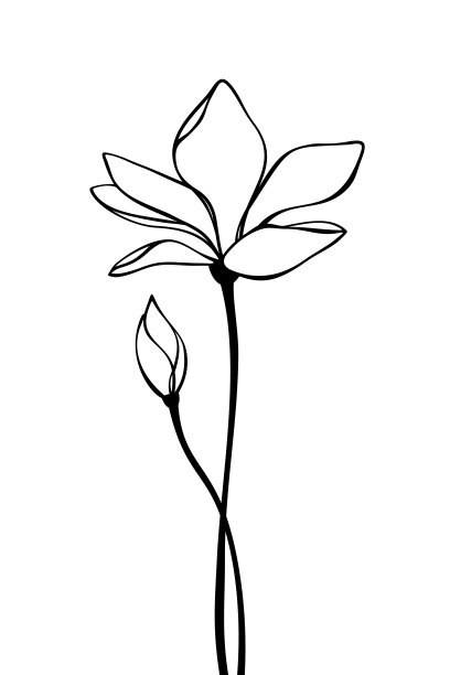 植物黑白线描画
