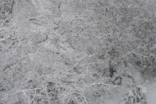 自然雪景寒冷冬天雪花特写