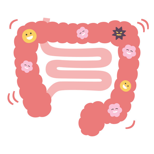 digestion