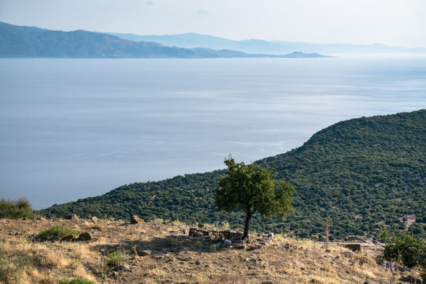 assos
