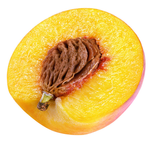 slice