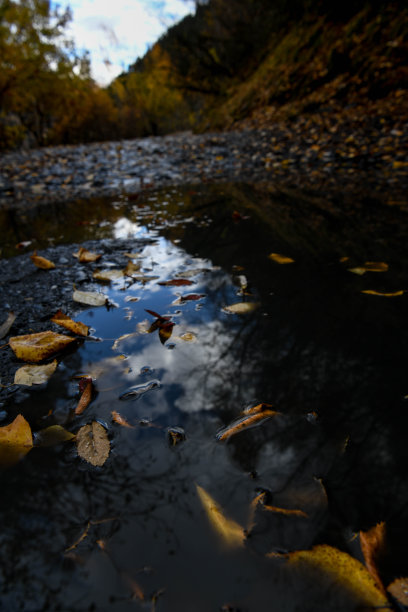 艺术背景透光石