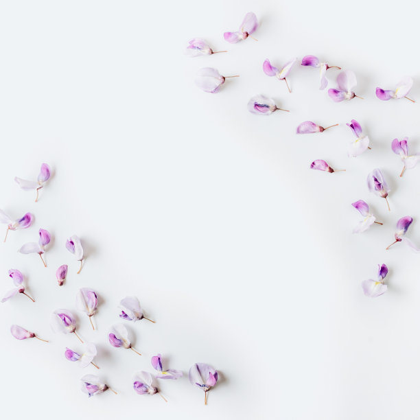 紫藤花背景图