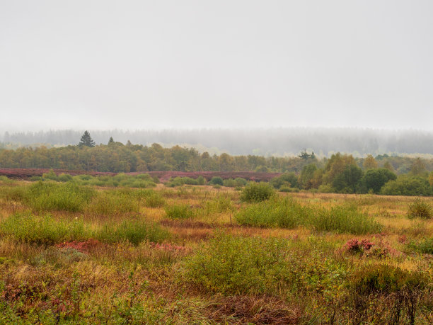 rhön