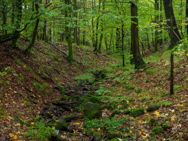 rhön