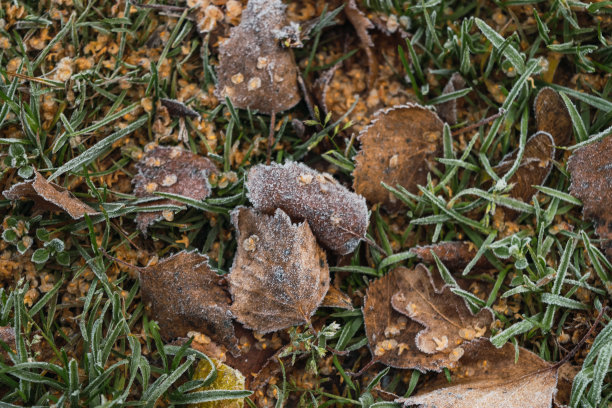 秋分霜降小雪冬大寒