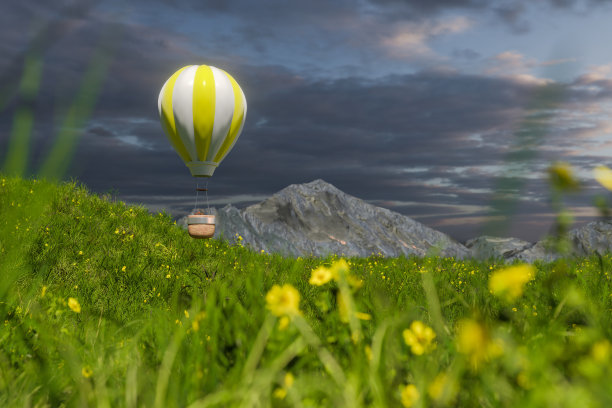 草地上的气球
