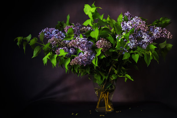 紫色花艺