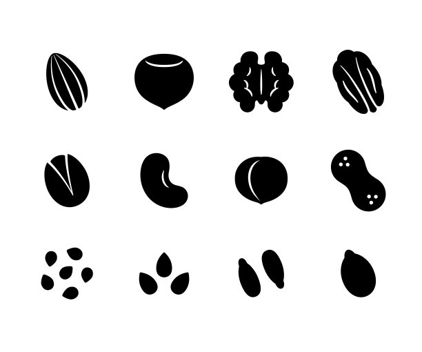 碧根果插画