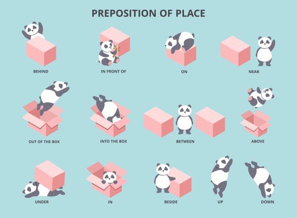 创意熊猫插画