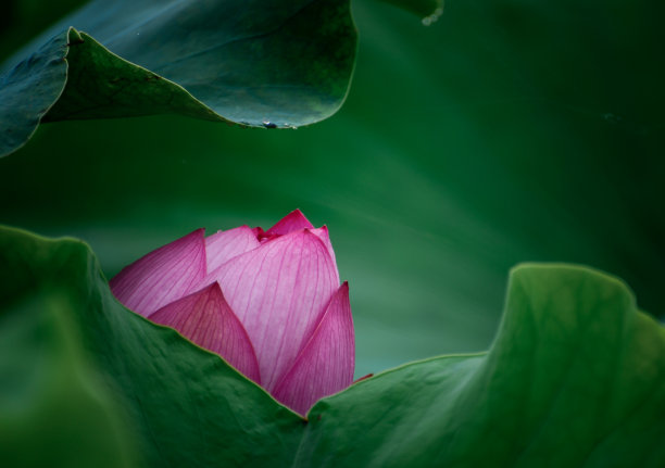 地形,户外,季节