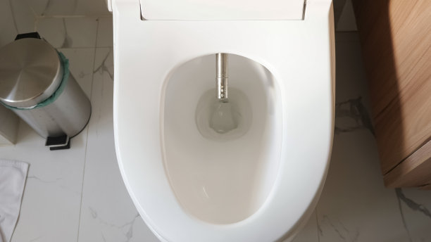 bidet