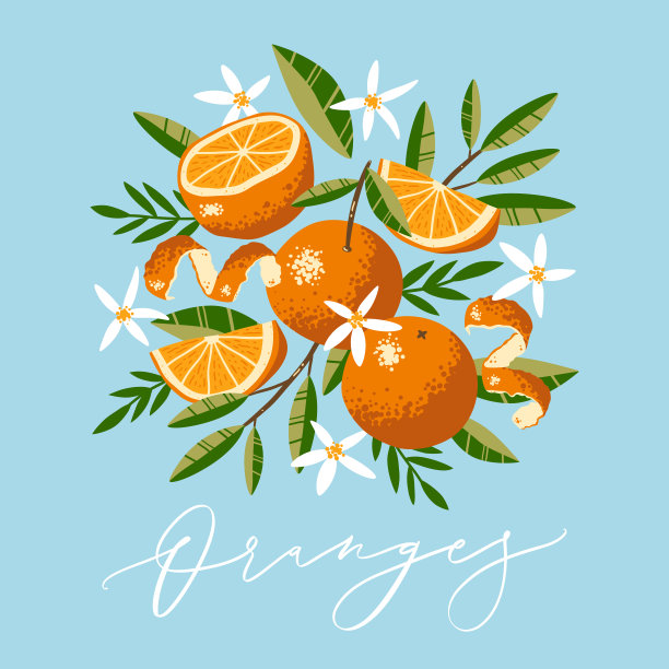 橙子橘子logo
