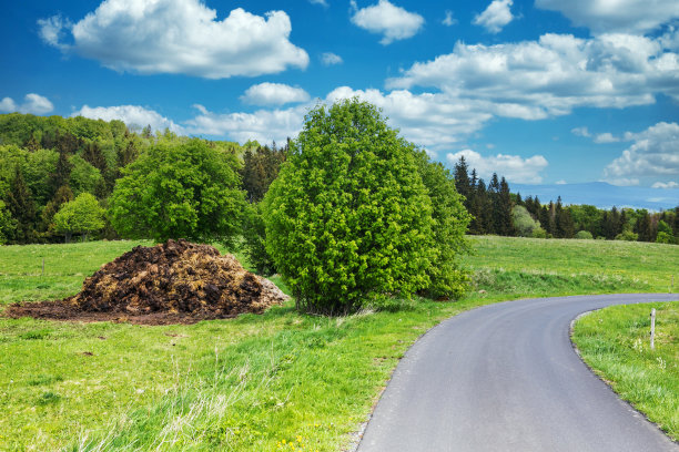 rhön