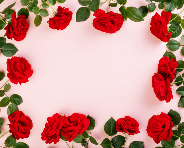 红色玫瑰花框架