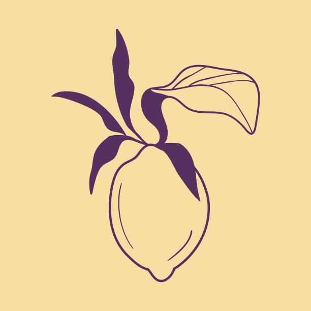 天然草本logo