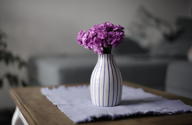 康乃馨 紫色 花束 礼品 装饰