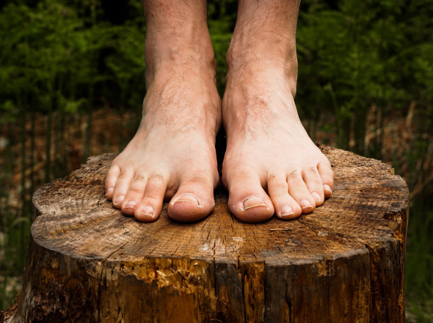 feet