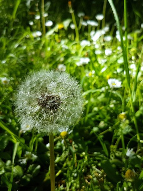 fragile