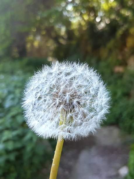 fragile