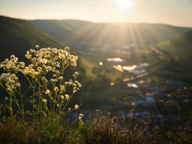 春天夏天春意风景美景