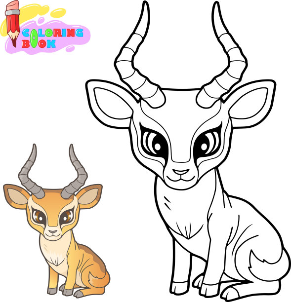 antelope