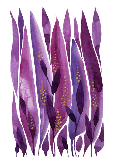 水彩植物花卉花束图案
