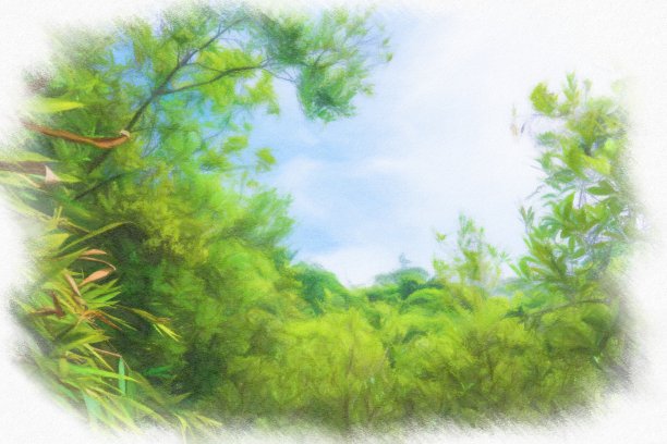 树林风景彩绘油画