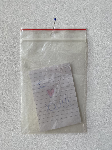 手写字体手提袋