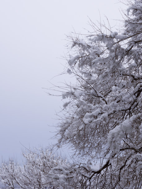 雪天抽象风景