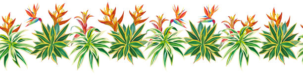 热带植物花鸟印花图案