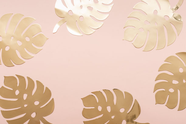 抽象热带植物叶子背景